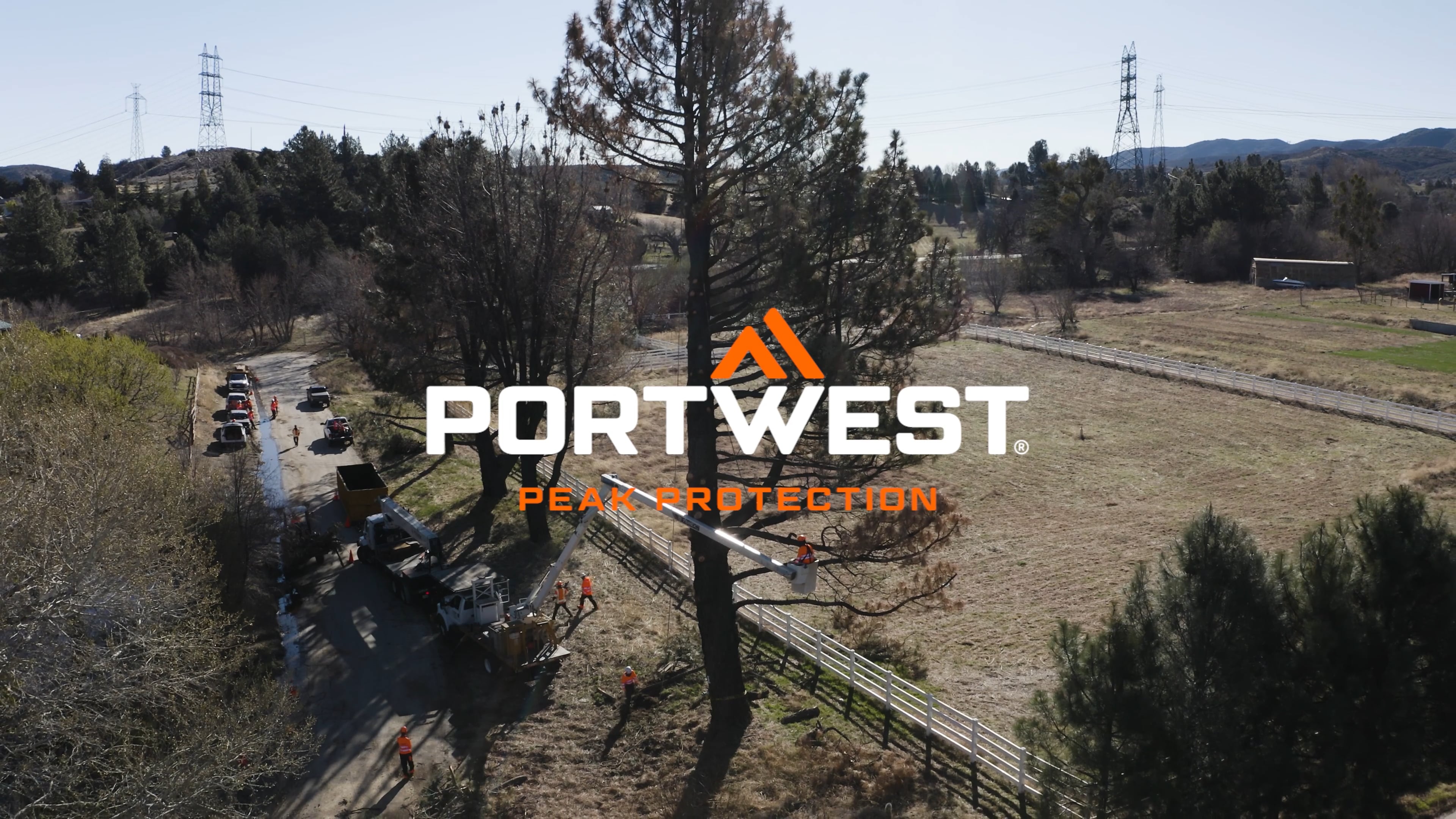 Portwest x West Coast Arborists